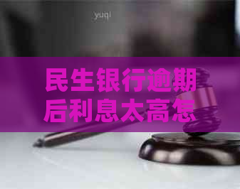 民生银行逾期后利息太高怎么办