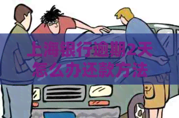 上海银行逾期2天怎么办还款方法有哪些