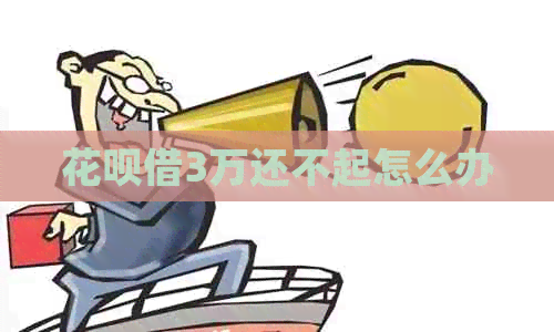 信用卡借3万还不起怎么办