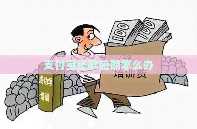 支付宝还款逾期怎么办 支付宝还款逾期怎么办