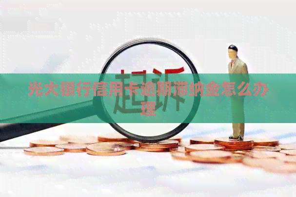 光大银行信用卡逾期滞纳金怎么办理
