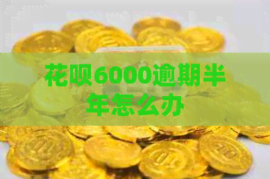 信用卡6000逾期半年怎么办