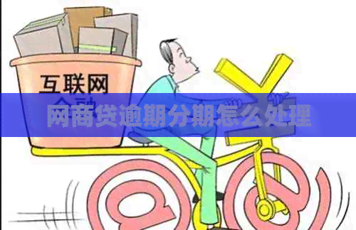 网贷逾期分期怎么处理