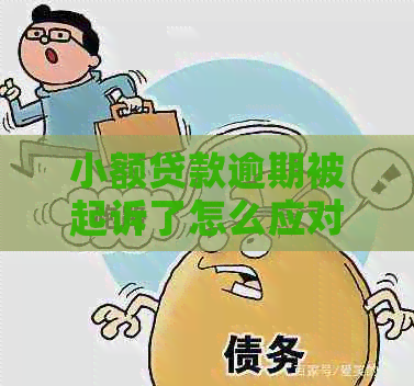 小额贷款逾期被起诉了怎么应对