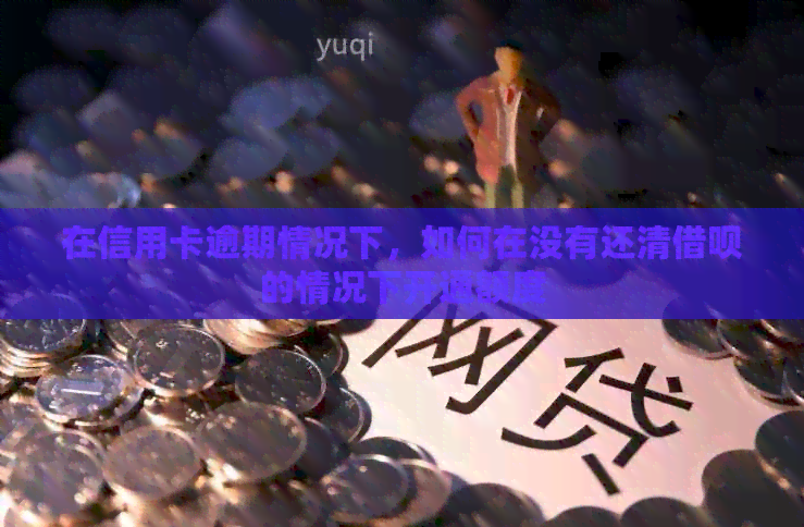 在信用卡逾期情况下，如何在没有还清网贷的情况下开通额度