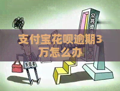 支付宝信用卡逾期3万怎么办