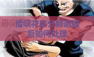 网贷信用卡分期逾期后如何处理