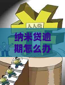 纳米贷逾期怎么办呢