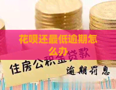 信用卡还更低逾期怎么办