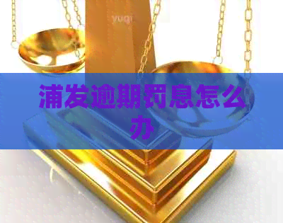 浦发逾期罚息怎么办
