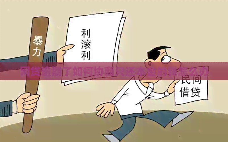 网贷逾期了如何协商只还本金的钱怎么办