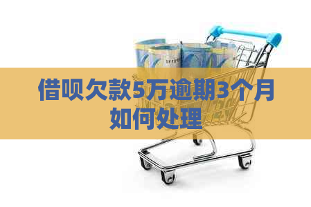 网贷欠款5万逾期3个月如何处理