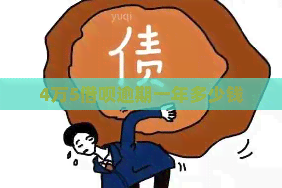 4万5网贷逾期一年多少钱