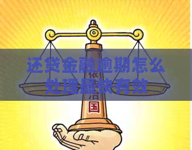 还贷金融逾期怎么处理最快有效