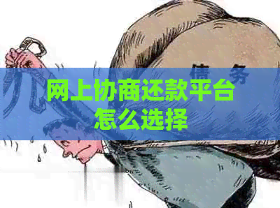网上协商还款平台怎么选择