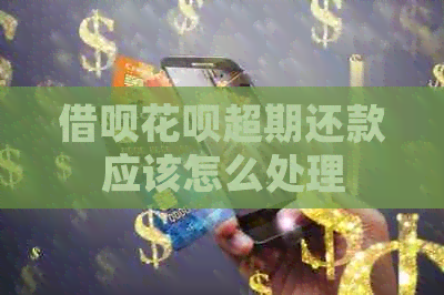 网贷信用卡超期还款应该怎么处理 网贷信用卡超期还款应该怎么处理