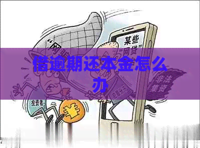借逾期还本金怎么办