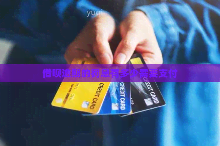 网贷逾期的罚息有多少需要支付