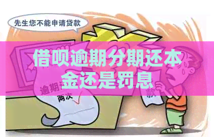 网贷逾期分期还本金还是罚息