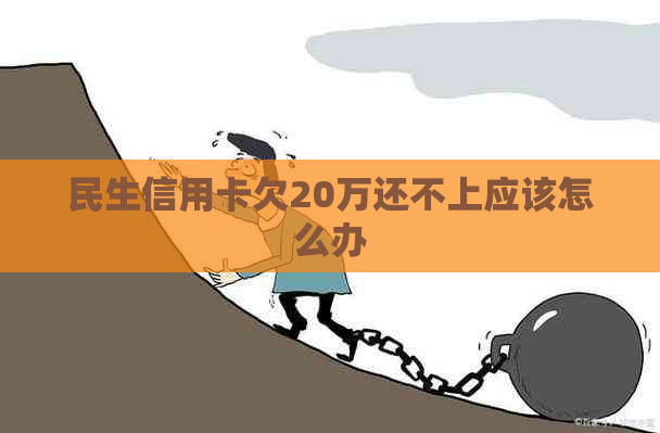 民生信用卡欠20万还不上应该怎么办
