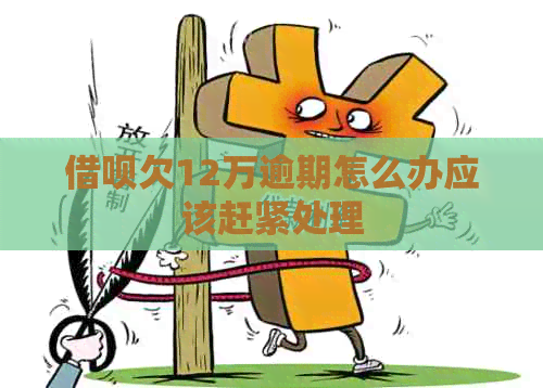 网贷欠12万逾期怎么办应该赶紧处理
