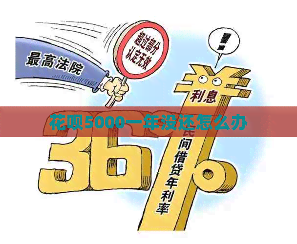信用卡5000一年没还怎么办