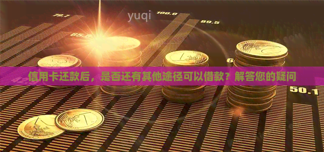 信用卡还款后，是否还有其他途径可以借款？解答您的疑问