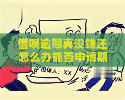 网贷逾期真没钱还怎么办能否申请期还款