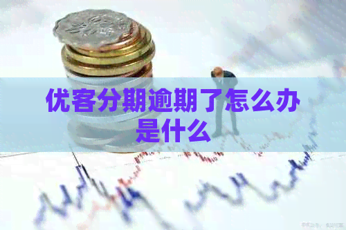优客分期逾期了怎么办是什么