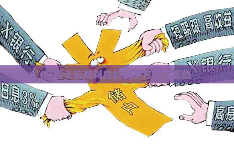 信用卡逾期利息的解决方法有哪些