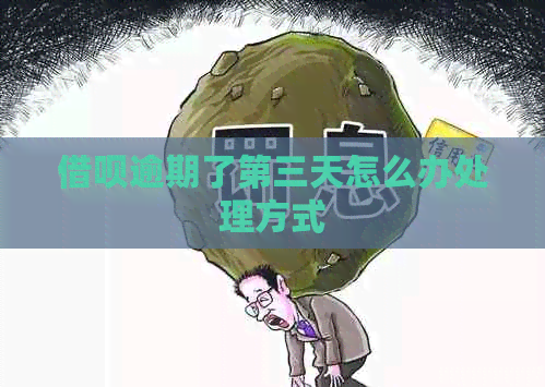 网贷逾期了第三天怎么办处理方式