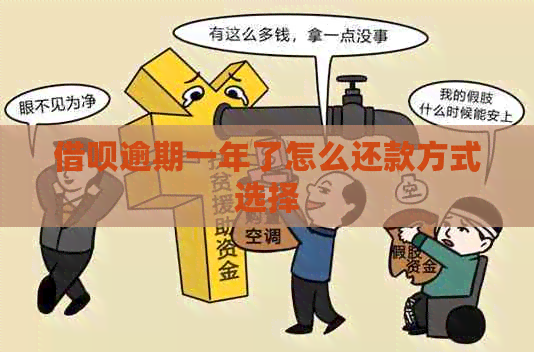 网贷逾期一年了怎么还款方式选择
