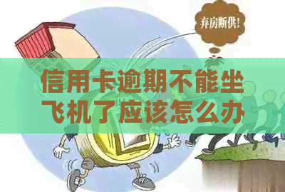 信用卡逾期不能坐飞机了应该怎么办