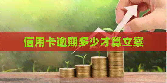 信用卡逾期多少才算立案