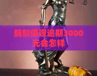 蚂蚁网贷逾期3000元会怎样