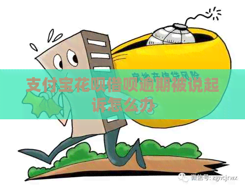 支付宝信用卡网贷逾期被说起诉怎么办