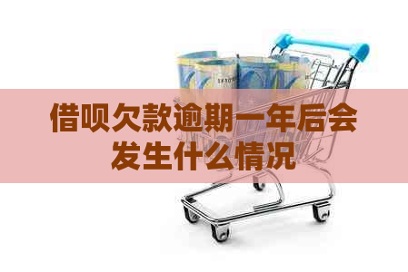 网贷欠款逾期一年后会发生什么情况