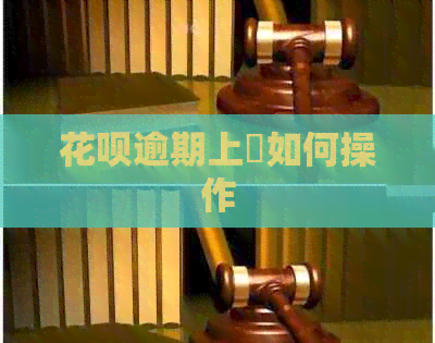 信用卡逾期上訴如何操作