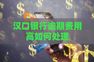 汉口银行逾期费用高如何处理