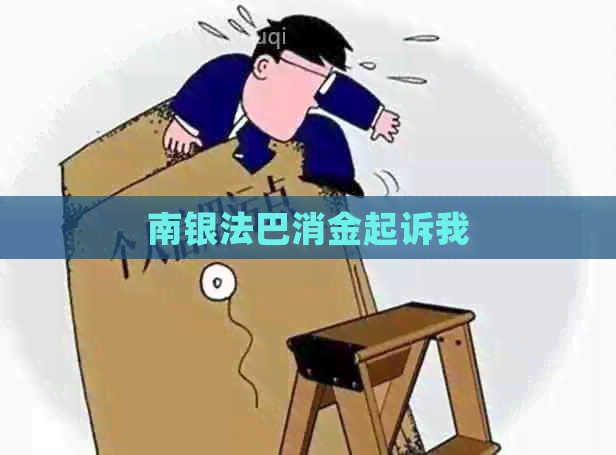 南银法巴消金起诉我