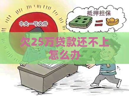 欠25万贷款还不上怎么办