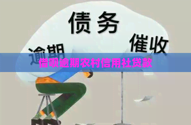 网贷逾期农村信用社贷款