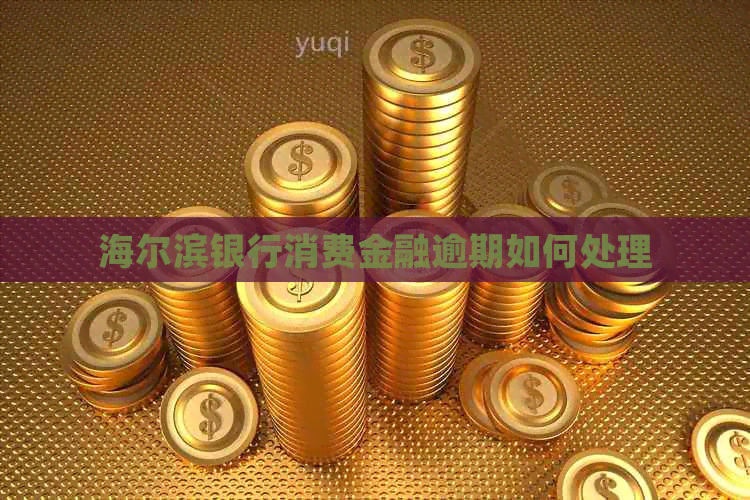 海尔滨银行消费金融逾期如何处理
