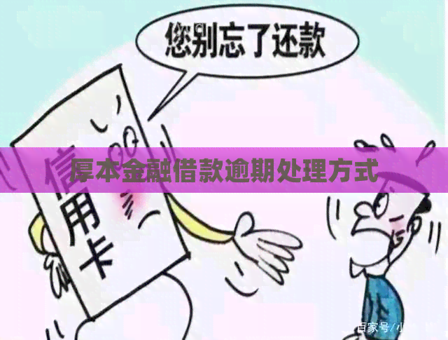 厚本金融借款逾期处理方式