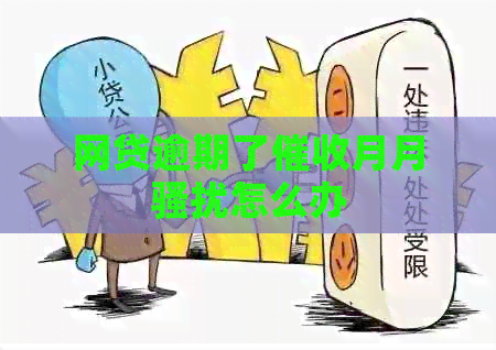 网贷逾期了月月怎么办