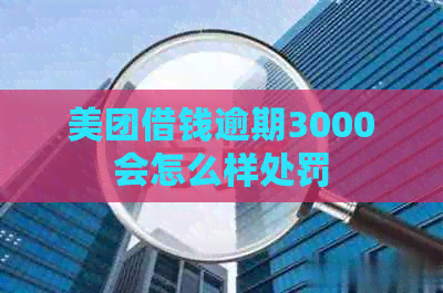 美团借钱逾期3000会怎么样处罚