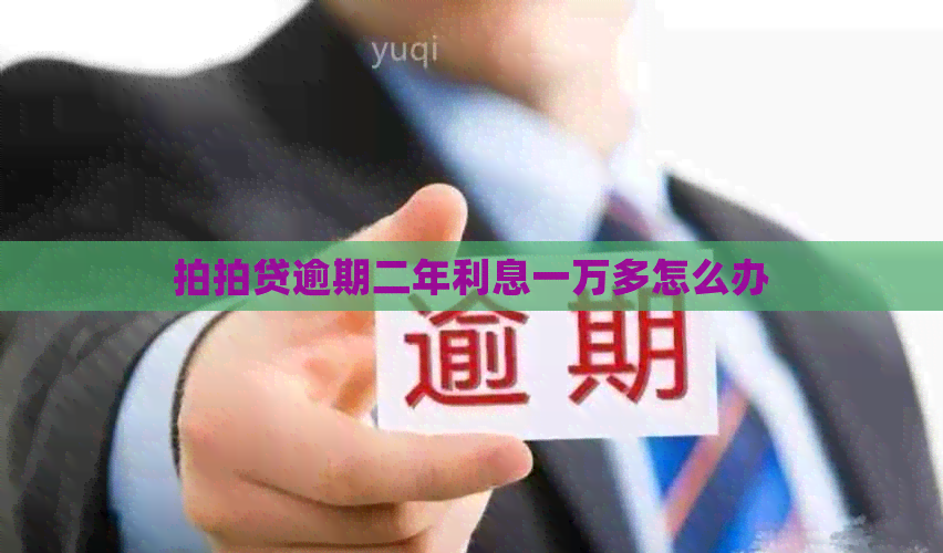逾期二年利息一万多怎么办