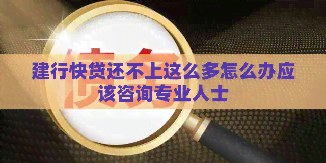 建行快贷还不上这么多怎么办应该咨询专业人士