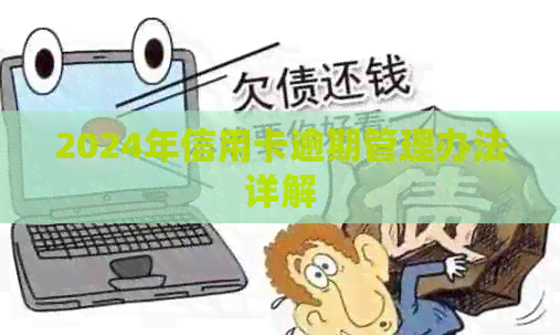 2024年信用卡逾期管理办法详解