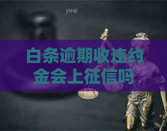 白条逾期收违约金会上吗
